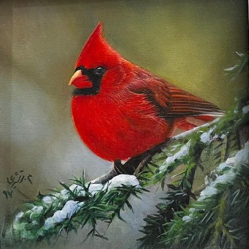 زمستان زیبا